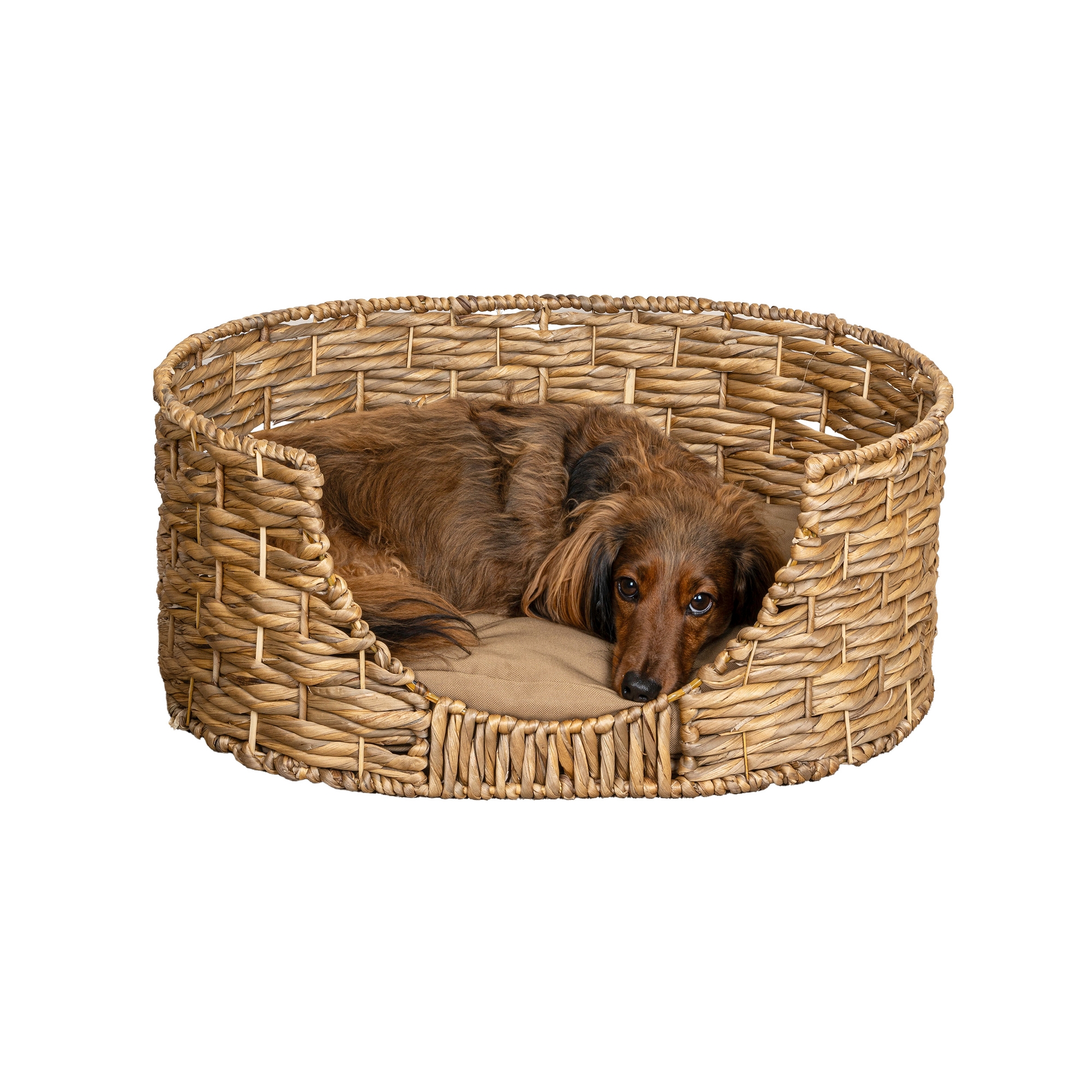 THE LICKER STORE Perri 24" x 18" Classic Farmhouse Handwoven Hyacinth Oval Pet Bed with Machine-Washable Cushion, Natural