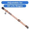 Pawtitas Glow In The Dark Adjustable Cat Collar - 4 of 4
