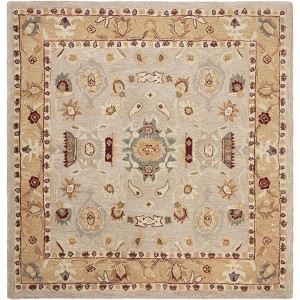 Anatolia AN543 Hand Tufted Indoor Rugs - Safavieh - 1 of 4