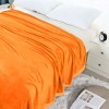 PiccoCasa 330 GMS Microfiber Polyester Luxury Flannel Fleece Soft Bed Blankets - 3 of 4