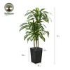 5-6ft UV & Sunproof Artificial Dracaena Tree for Indoor/Outdoor - Faux Silk Plant in Tall Planter, Tall Faux Tree for Home & Garden Decor - 3 of 4
