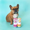 PetShop by Fringe Studio Light Paws Cans To Go Dog Toy Set - 2pc - 3 of 4