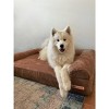 Big Barker 7" Orthopedic Dog Bed - Sofa Edition - 3 of 4