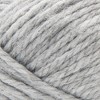 Lion Brand Re-Spun Thick & Quick Yarn-Silver - 2 of 2