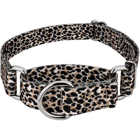 Country Brook Petz Cheetah Martingale Dog Collar - image 1 of 4