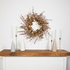 Northlight Ornaments, Holly and Berries Artificial Christmas Wreath - 30" - Gold and Copper Tone - 2 of 4