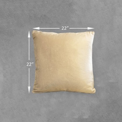 Taupe Velour Decorative Throw Pillows with Inserts, Set of 2