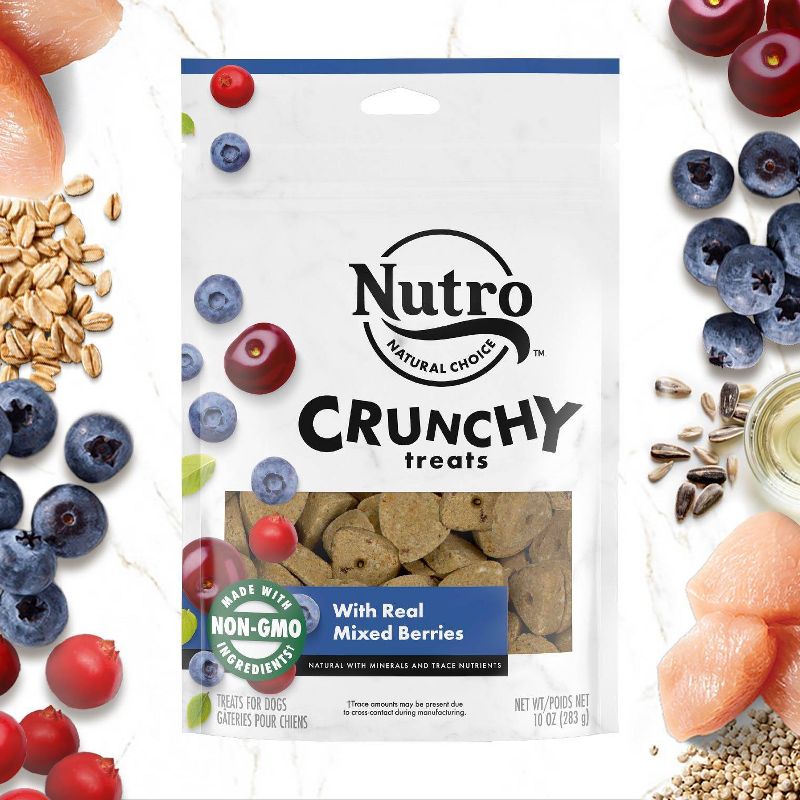 Nutro Crunchy Mixed Berry Fruit Dog Treats - 10oz, 5 of 17