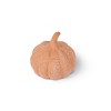 SM Terracotta Pumpkins Orange - Bullseye's Playground™ - 2 of 3