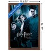 Trends International Harry Potter and the Prisoner of Azkaban - Forest One Sheet Framed Wall Poster Prints - 3 of 4