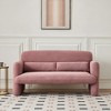 MAYEERTY Modern Lamb Fabric Loveseat Sofa Solid Wood Frame Toss Pillow Included - 4 of 4