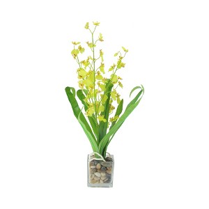 Northlight 23.5" Dancing Lady Orchid Silk Flower Artificial Potted Plant - Yellow - 1 of 3