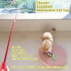 Interactive Cat Toys - Retractable Wand Toy and Feather Toys Refills for Indoor Cats to Chase and Exercise - 2 of 4