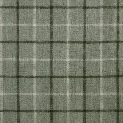 Green Plaid Light-Filtering Polyester Curtain Panel