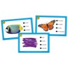 Teacher Created Resources® Power Pen® Learning Cards: First Words in Spanish - 2 of 3