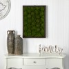 Nearly Natural 17-in X 24-in Artificial Moss Hanging Frame - 3 of 3