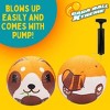 SCS Direct Gaga Pet Themed Playground Balls (8.5 inches) w Air Pump - Durable Rubber Pack for Recess Dodgeball, Kickball - Fun Spring Outdoor Toy - 3 of 4