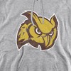 Rowan University Official Distressed Primary Logo Adult Pull-Over Hoodie - 2 of 4