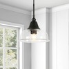 Hudson and Canal 10.75" Wide Pendant with Glass Shade - 3 of 4
