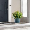KWPZQEB Plant Pots Set of 3, Ceramic Planters with Drainage Holes, Nursery Planting Pot for Indoor Out Door Plants - 2 of 4