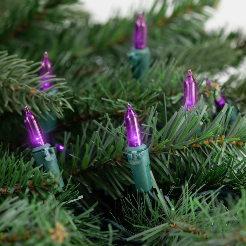 Northlight 50ct Purple LED Mini Christmas Lights, 16.25ft Green Wire, 3 of 5