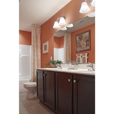 Bravo Brushed Nickel 1-Light Bath Vanity with Etched Glass Shade