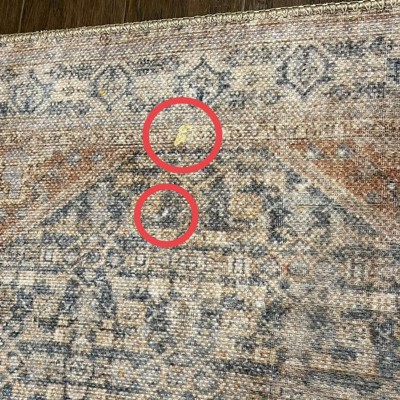 Guest review image 1 of 4, zoom in
