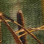 waterfowl camo