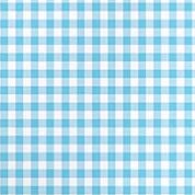 aqua mini check