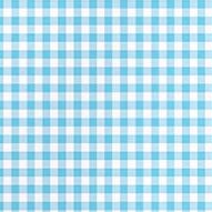 aqua mini check