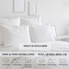 Pointehaven Ultra Soft 100% Cotton Printed 170 GSM Flannel Sheet Set - 4 of 4