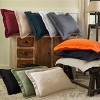 Fleur De Lis Medallion Cotton Matelasse Decorative Bedspread and Pillow Sham Set by Blue Nile Mills - 4 of 4
