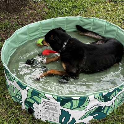 Piscina Para Perros Pequeños Gimdog Splash Time! S (80 X 20 Cm) con Ofertas  en Carrefour