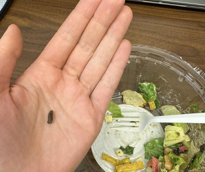 Guest review image 1 of 1, zoom in