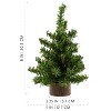 AuldHome Design Mini Christmas Trees, 3pk; Pine Tree Greenery Tabletop Holiday Decor - 3 of 4