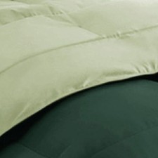 emerald/light sage green