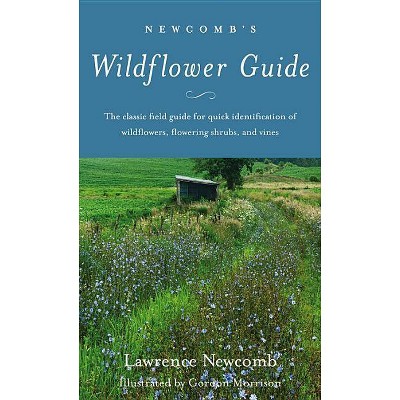 Newcomb's Wildflower Guide - by  Lawrence Newcomb (Paperback)