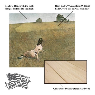 Andrew Wyeth Christina's World 18"x22" Natural Hardwood Landscape Art