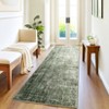 Nasitip Modern Area Rugs for Living Room, Soft Low Pile Non Slip Rug, Machine Washable Contemporary Home Decor - 4 of 4