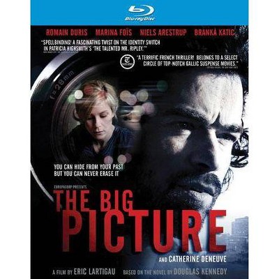 The Big Picture (Blu-ray)(2013)