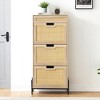 Garvee 3-Tier Rattan Shoe Cabinet, Free Standing Shoe Rack with 3 Flip Doors, Storage Organizer for Heels, Boots, Slippers,Entrance Hallway Entryway - 3 of 4