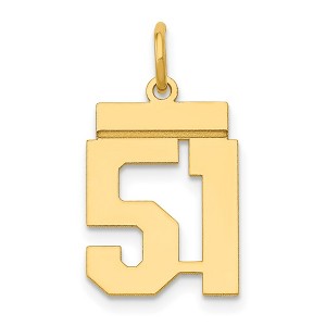 Black Bow Jewelry 14k Yellow Gold, Athletic Collection, Small Polished Number 51 Pendant - 1 of 4