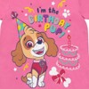 Paw Patrol Nickelodeon Skye Rubble Chase Girls Birthday T-Shirt Toddler to Big Kid - 2 of 4