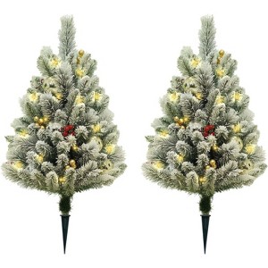2-Pack 24-Inch Pre-Lit Potted Outdoor Christmas Trees with Warm Lights, Berries & Pine Cones, Small Pathway/Porch Xmas Decor - 1 of 4