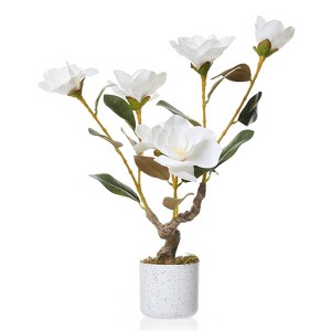24" Artificial Magnolia Tree with White Planter, Realistic Magnolia Grandiflora Faux Potted Plant for Indoor & Outdoor Decor - 1 of 4
