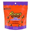 Reese's Mini Peanut Butter Pumpkins Halloween Candy Pouch - 7.6oz - 2 of 4