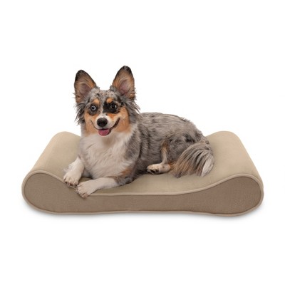 target dog bed medium