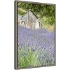 Amanti Art Lavender field and small shed by Janell Davidson Danita Delimont Canvas Wall Art Print Framed 16 x 23-in. - 3 of 4