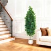 5FT Artificial Topiary Shrubs,Bay Leaf Trees for Outdoors Faux Silk Ficus Trees with Natural Trunk Plants for Home Office Front Porch Decor - 3 of 4