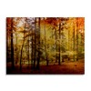 Trademark Fine Art -Philippe Sainte-Laudy 'Fall Color' Canvas Art - image 2 of 4